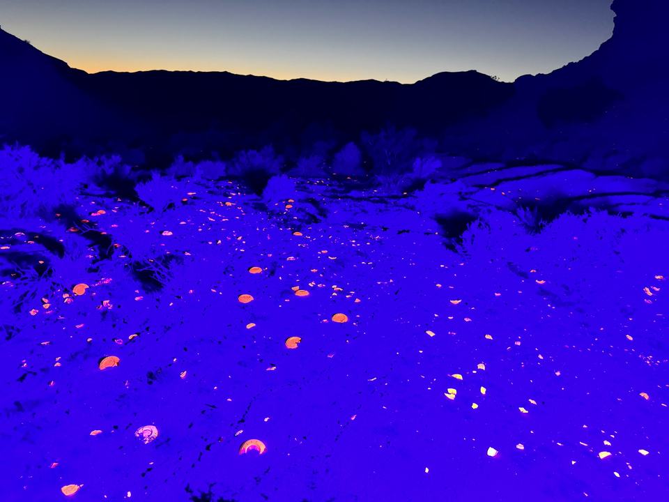 A black light shoot. November 2023.