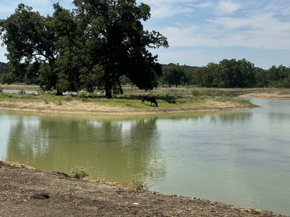The stocked pond beside the courses.